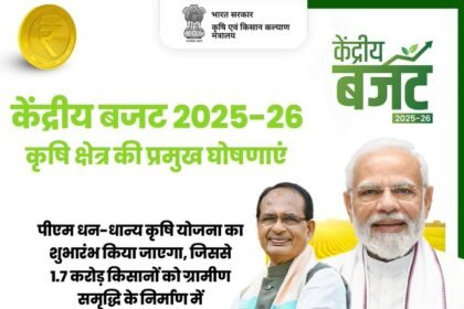पी एम धन-धान्य कृषि योजना 2025 भारत सरकार द्वारा संचालित योजनां